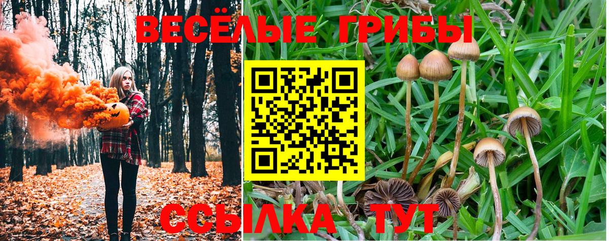 Таганрог  Галлюциногенные грибы ЛСД  Вход с VPN 