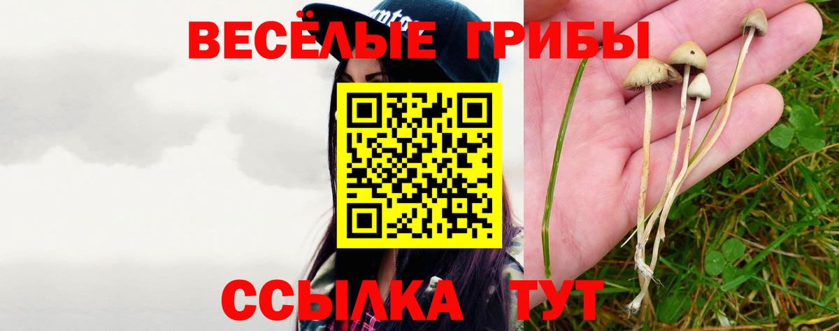 Галлюциногенные грибы MAGIC MUSHROOMS Таганрог